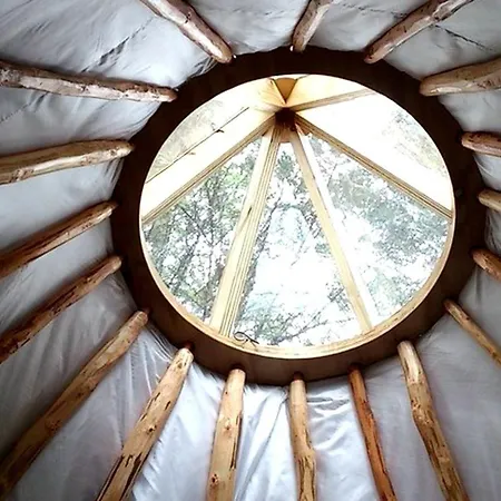 Green Glamping From Modern Tipi On Family-Friendly Cider Orchard, Ireland * Drumkeeran